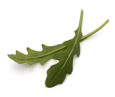 Tatlı rucola yaprakları