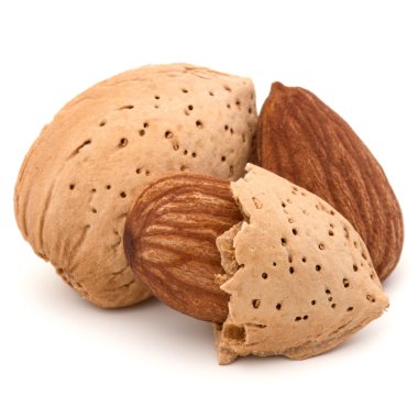 Badem fındık kabuğu  