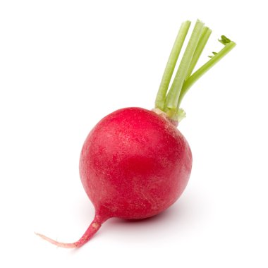 küçük Bahçe turp