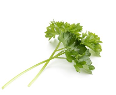 taze maydanoz yaprakları