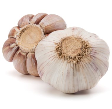 Olgun sarımsak ampuller