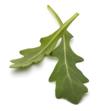 Tatlı rucola yaprakları
