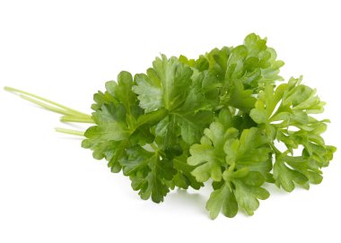 taze maydanoz yaprakları grup