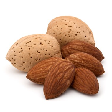 Badem fındık kabuklarında 