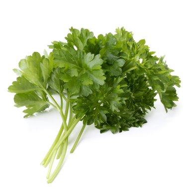 taze maydanoz yaprakları grup