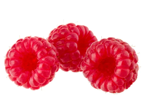 Frische reife Himbeeren — Stockfoto