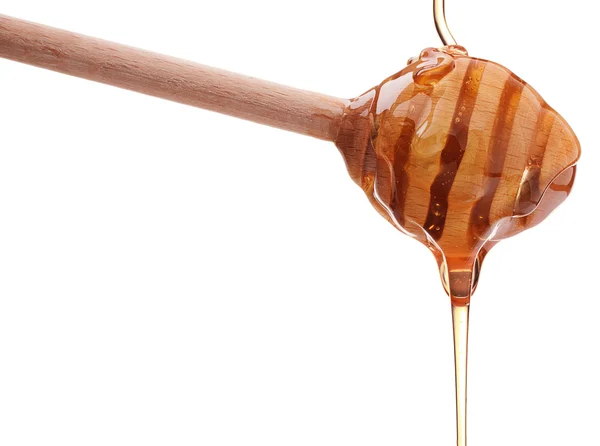 木製のディッパーから蜂蜜の滴下 — ストック写真