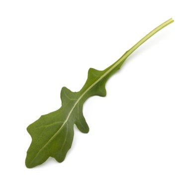 Tatlı rucola yaprak