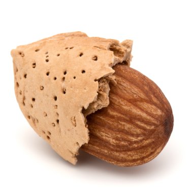 Badem fındık kabuğu  