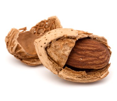 Badem fındık kabuğu  