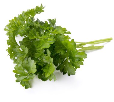 taze maydanoz yaprakları grup