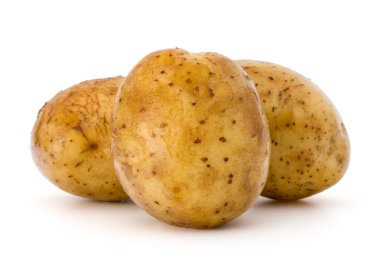 yeni patates yumrular yığını