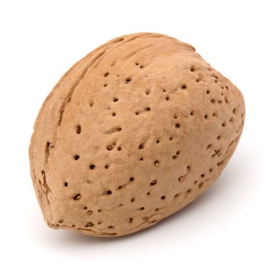 Badem fındık kabuğu  