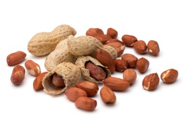 yer fıstığı bakla ve fındık