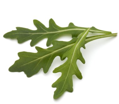 Tatlı rucola yaprakları