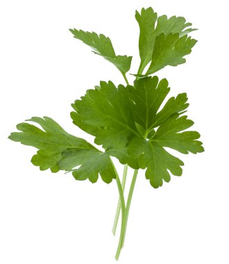 taze maydanoz yaprakları