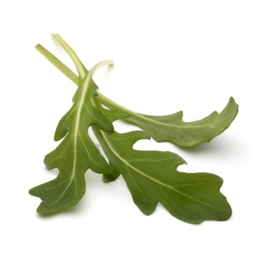 Tatlı rucola yaprakları