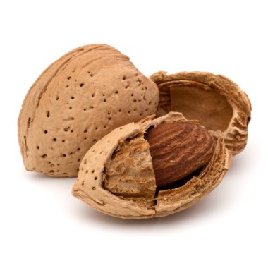 Badem fındık kabuğu  