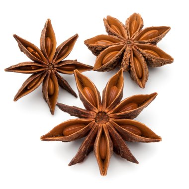 spicy anise stars clipart