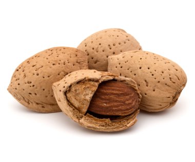 Badem fındık kabuklarında 