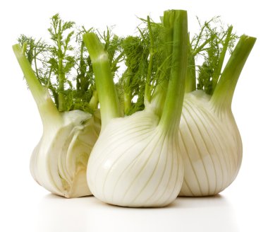 Taze rezene Ampüller