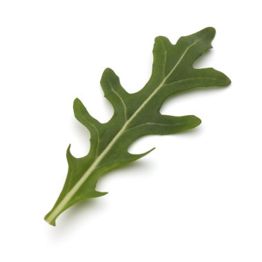 Tatlı rucola yaprak