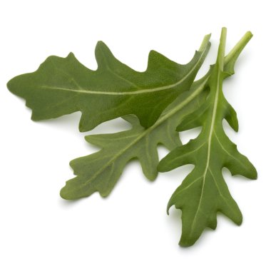 Tatlı rucola yaprakları