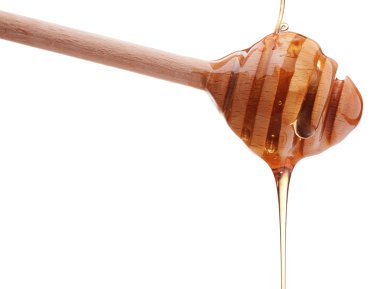 Tahta Dipper 'dan Bal Damlıyor