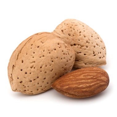 Badem fındık kabuklarında 