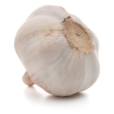 Olgun sarımsak ampul