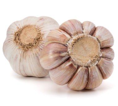 Olgun sarımsak ampuller