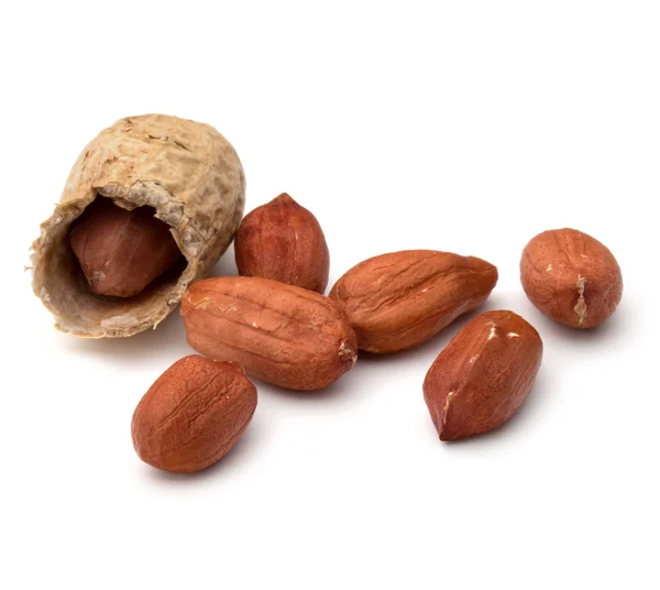 Erdnussschote und Nüsse — Stockfoto