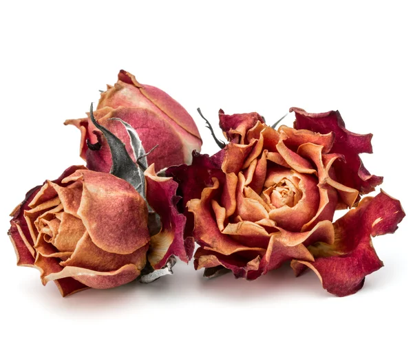 Flores de rosa secas — Fotografia de Stock