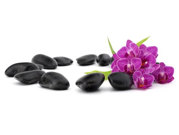 Calhaus e flores de orquídeas de zen — Fotografia de Stock