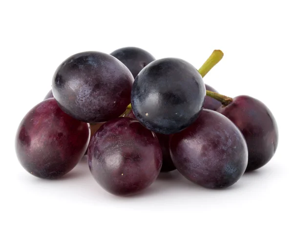 Ramo de bayas de uvas rojas —  Fotos de Stock