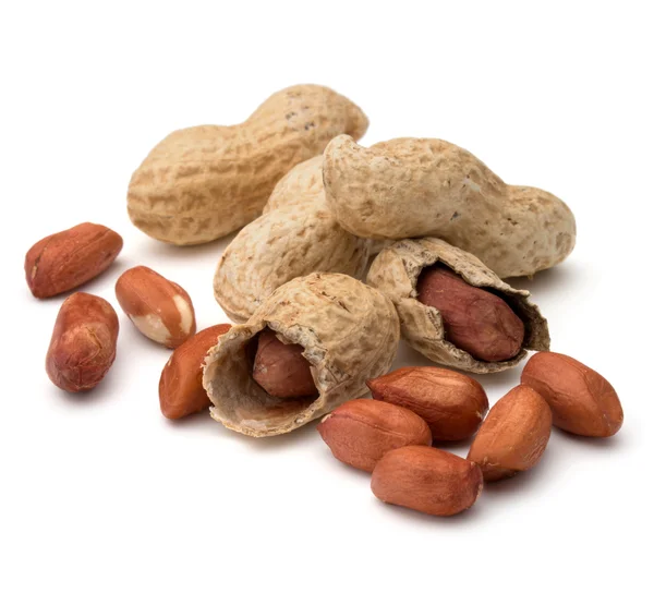 Арахисовые стручки и орехи — стоковое фото