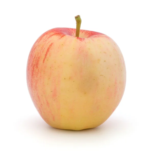 Roter gelber reifer Apfel — Stockfoto
