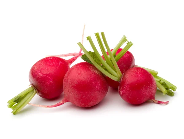 Small garden radishes — Stock Photo, Image