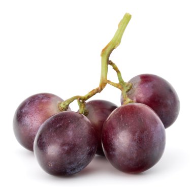 Kırmızı üzüm dut grup