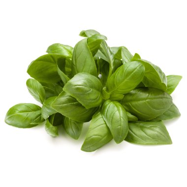 Demet fesleğen bitki yaprakları 