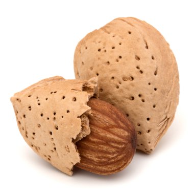 Kabuk ve kabuklu badem fındık