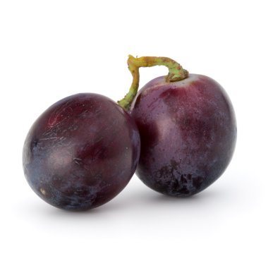 Kırmızı üzüm dut grup