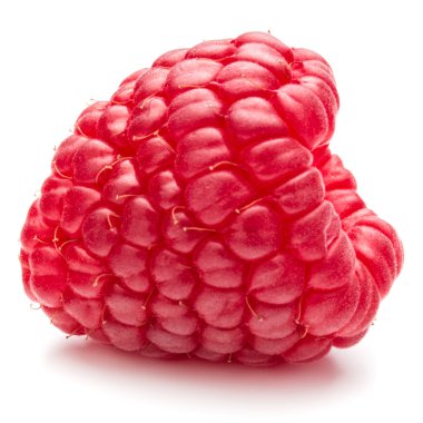 Olgun ahududu yakın çekim 