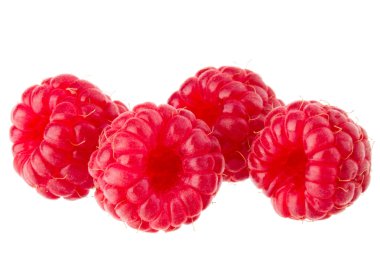 Olgun ahududu yakın çekim 