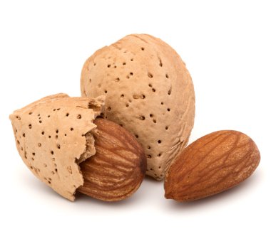 Badem fındık kabuğu 