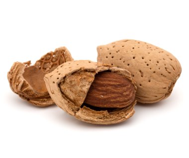 Badem fındık kabuğu 