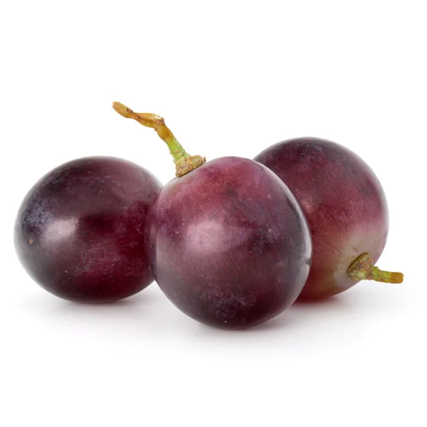 Red grapes berry bunch — Stock Photo, Image