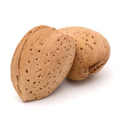 badem fındık kabuğu 