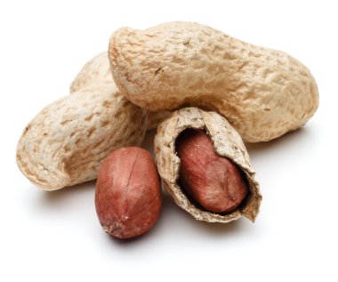 Fıstık Kruvazörlerin de arachis 