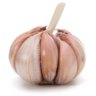 sarımsak ampul beyaz 